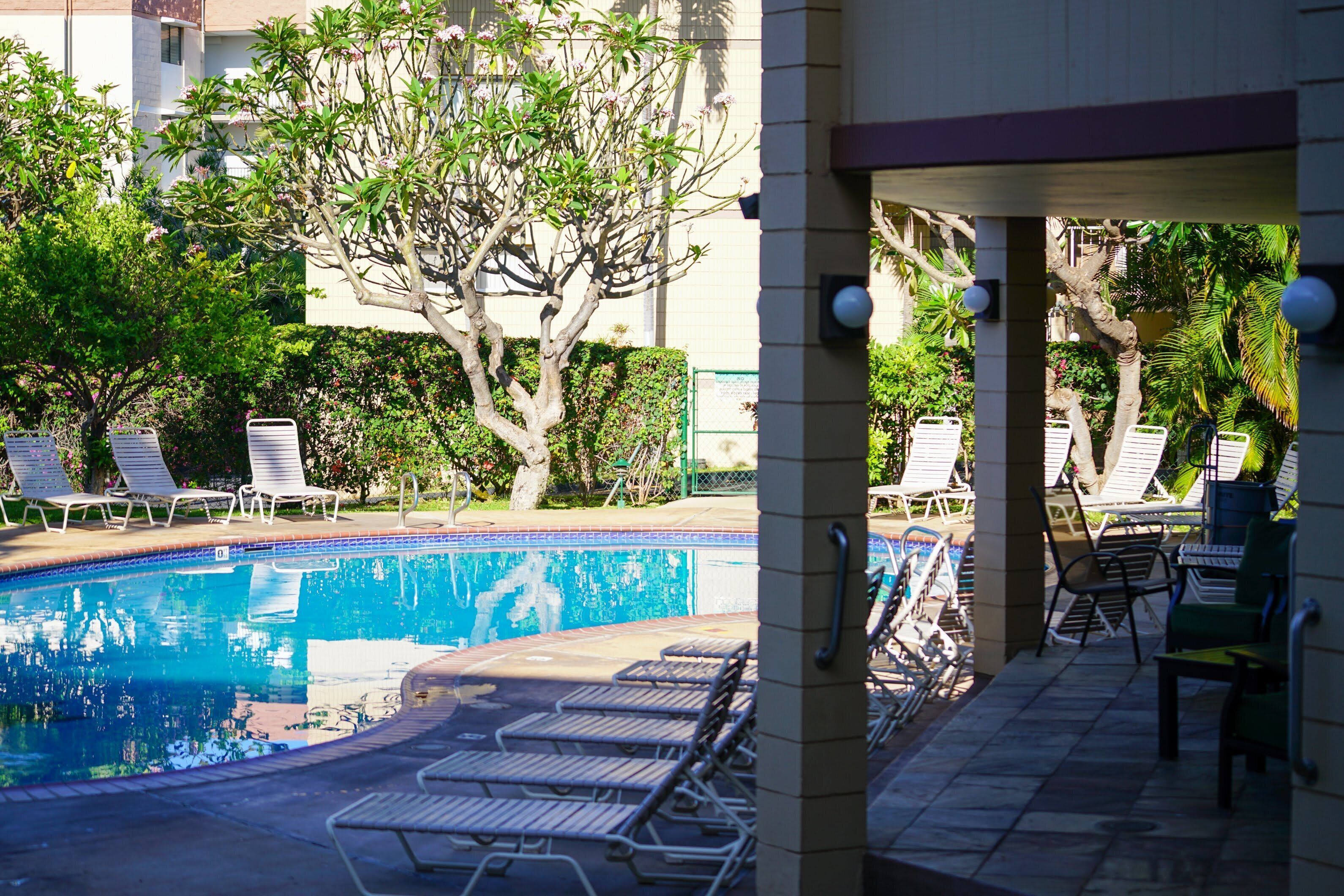 Una piscina con sillas de descanso y un árbol al fondo.
