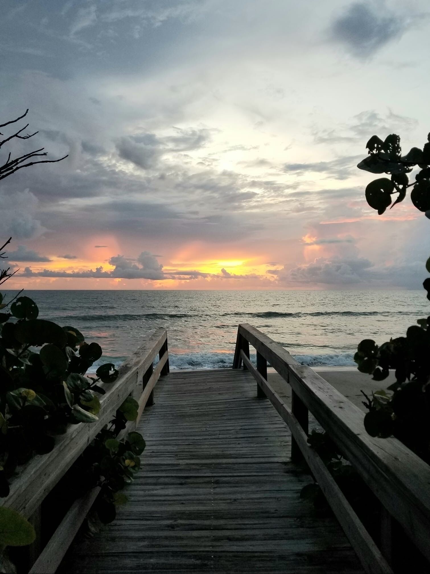 Sun loungers, beach towels
