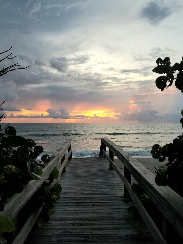Camastros y toallas de playa 