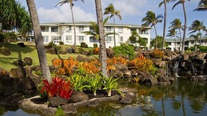 Property grounds - Lovely resort on the Garden Island Paradise of Kauai (Xmas week 2023 available!) (Koloa)