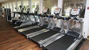A row of treadmills in a gym with large windows and wooden flooring.