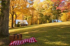 A picnic setup with a basket and blanket on grass, surrounded by trees with autumn foliage. - Mountain Tent Retreat: Game Room Near Ocoee River (Copperhill)