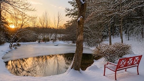 A bench by a snow-covered pond with trees in the background.