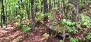 A chair in a forest.