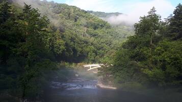 A river flowing through a forested valley with a bridge in the distance.