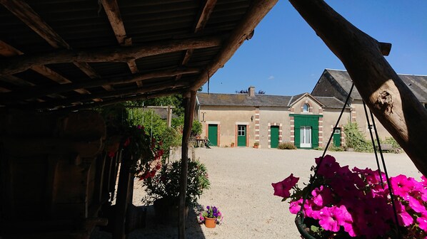 Cour