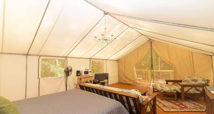 Cooler than your average stay - Glamourous Camping