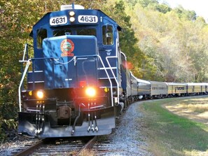 Un tren con el número 4631 en la parte frontal, circulando sobre rieles rodeados de árboles.