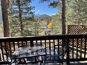 Outdoor dining - Studio cabin in LR Taylor's cabins (Estes Park)