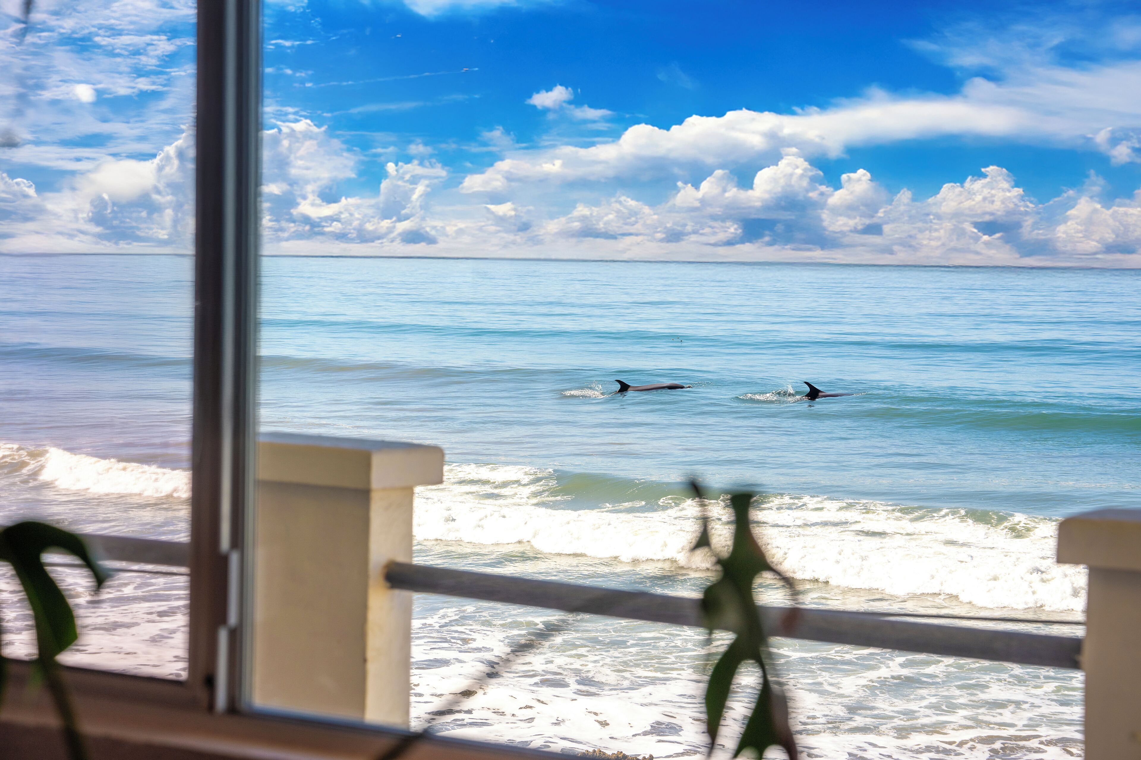 A view of the ocean from a window with a railing, two people swimming, and a clear sky.