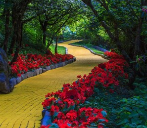 Property grounds - Top of Beech! Incredible Views of Grandfather Mtn and Banner Elk/ Walk to Fred’s (Beech Mountain)