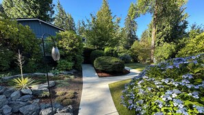 A pathway leading to a house surrounded by lush greenery and a variety of plants.
