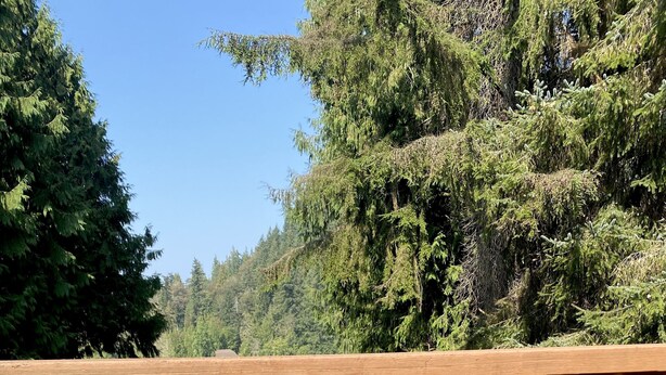 A view from a deck overlooking a lake, with a bottle of Corona Extra beer on a table.