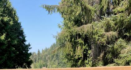 Private house, no stairs, large deck, 5 watercraft hiking trails - 2026WorldCup