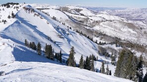 Paisagem montanhosa coberta de neve, com pistas de esqui e árvores.