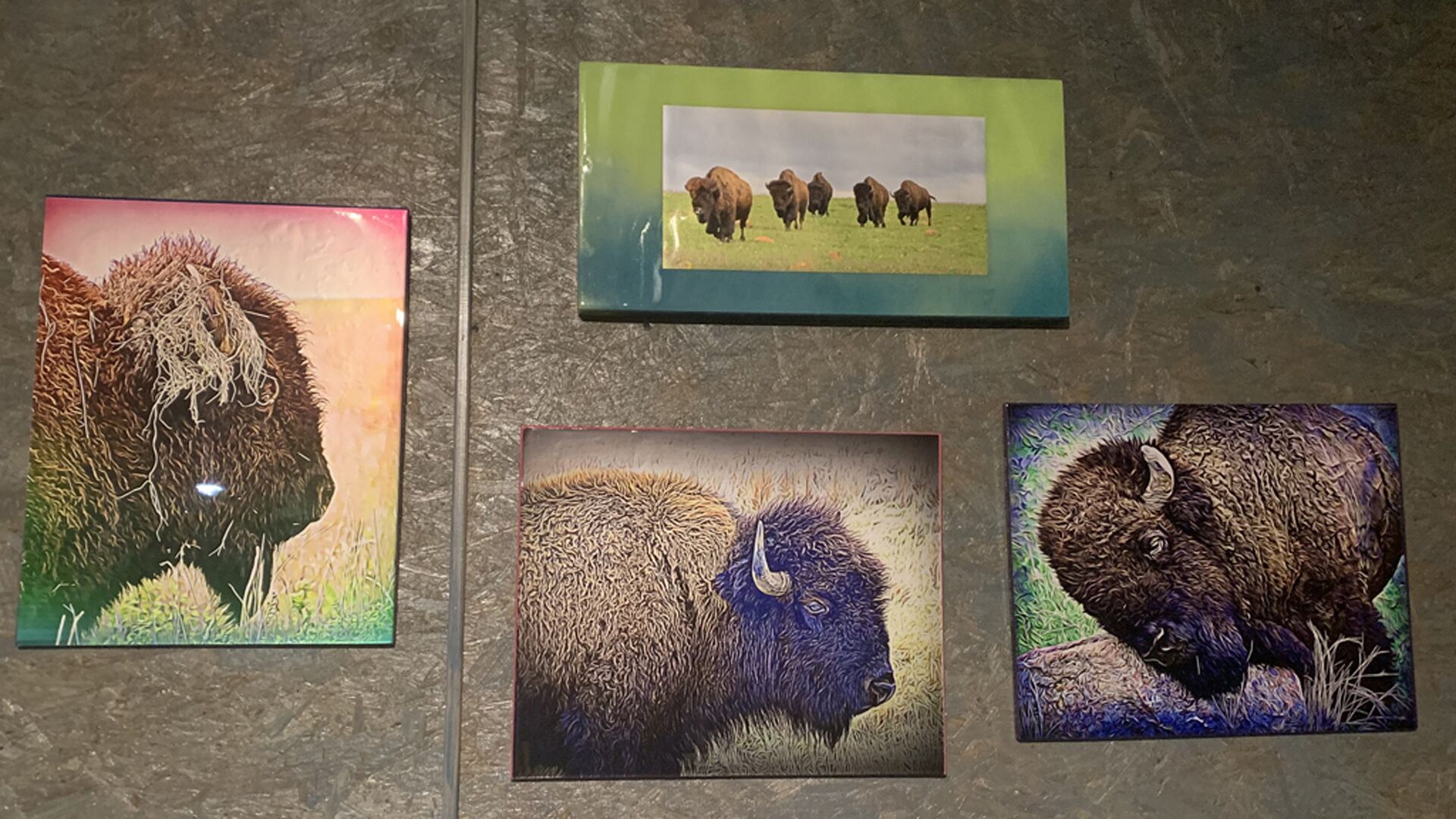 Quatre photos encadrées représentant des bisons, accrochées à un mur texturé.