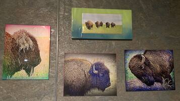 Quatre photos encadrées représentant des bisons, accrochées à un mur texturé.