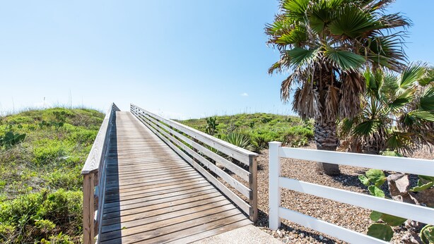 A wooden boardwalk with white railings, leading to a beach area with palm trees and desert plants.