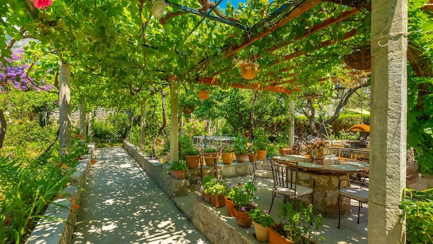 Un espacio al aire libre cubierto con mesas y sillas, rodeado de plantas en macetas y un sendero de piedra.