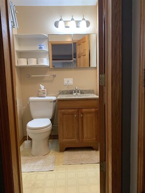 A bathroom with a toilet, sink, and wooden cabinets. - Private waterfront lake home, Fox Tail Bay, Silver Lake, Wautoma, WI (Wautoma)