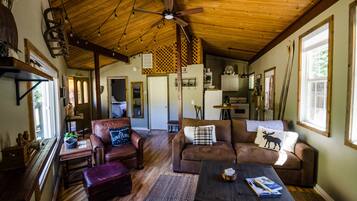 TV connectée, cheminée, lecteur de DVD, vidéothÚque