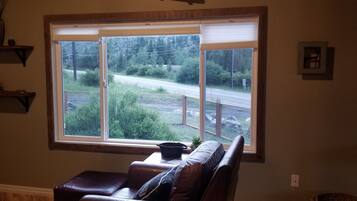 Smart TV, fireplace, DVD player, video library