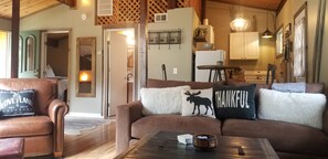 Smart TV, fireplace, DVD player, video library