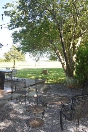 Outdoor dining - Idyllic cottage on Accabonic Harbor (East Hampton)