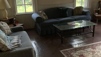 Televisio, takka, DVD-soitin, videokirjasto