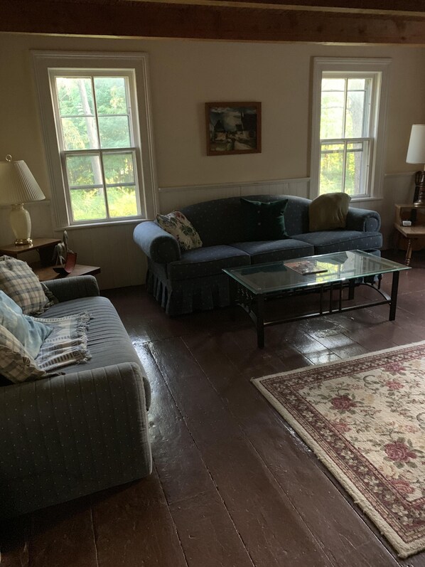 TV, fireplace, DVD player, video library