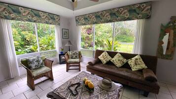 Älytelevisio, DVD-soitin