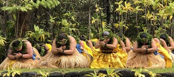 Tropischer Waldrückzug nahe Ozean - Ho'ohauoli