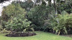 A lush garden with diverse vegetation, including palm trees and ferns, and a statue in the center.