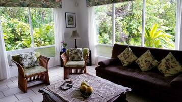 Älytelevisio, DVD-soitin