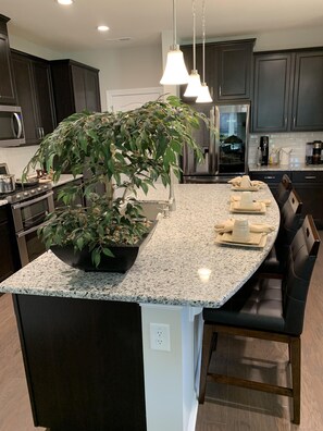 Fridge, microwave, dishwasher, coffee/tea maker - Executive Town Home Duke RTP Durham NC (Durham)