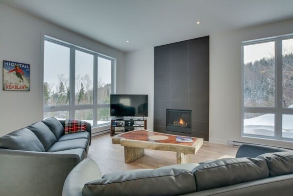 Flat-screen TV, fireplace, DVD player