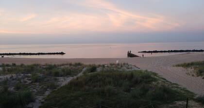 Oasis complet sur la plage