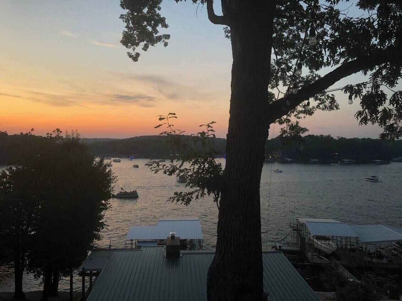 Vista del lago con barcos, un muelle y un árbol.