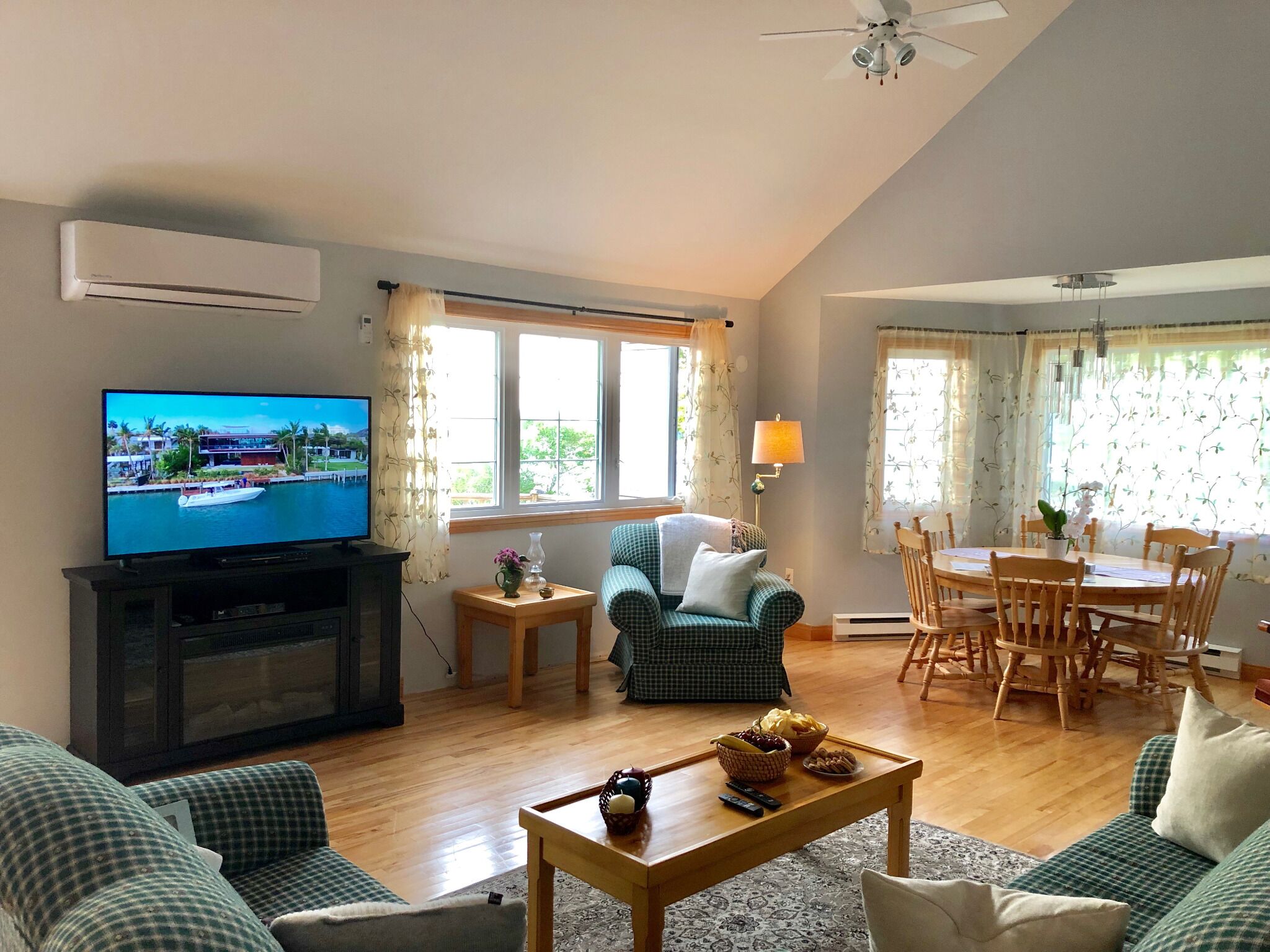 Smart TV, fireplace, DVD player, books