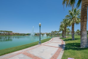 Property grounds - Group-Friendly Estrella Gem: Hike, Cheer & Explore (Goodyear)