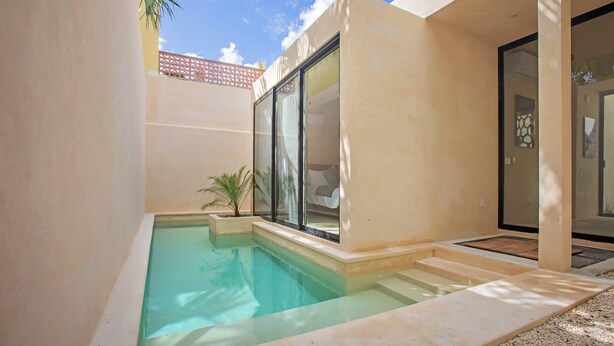 A modern pool area with clear water, a palm plant, and a glass door leading to a room.
