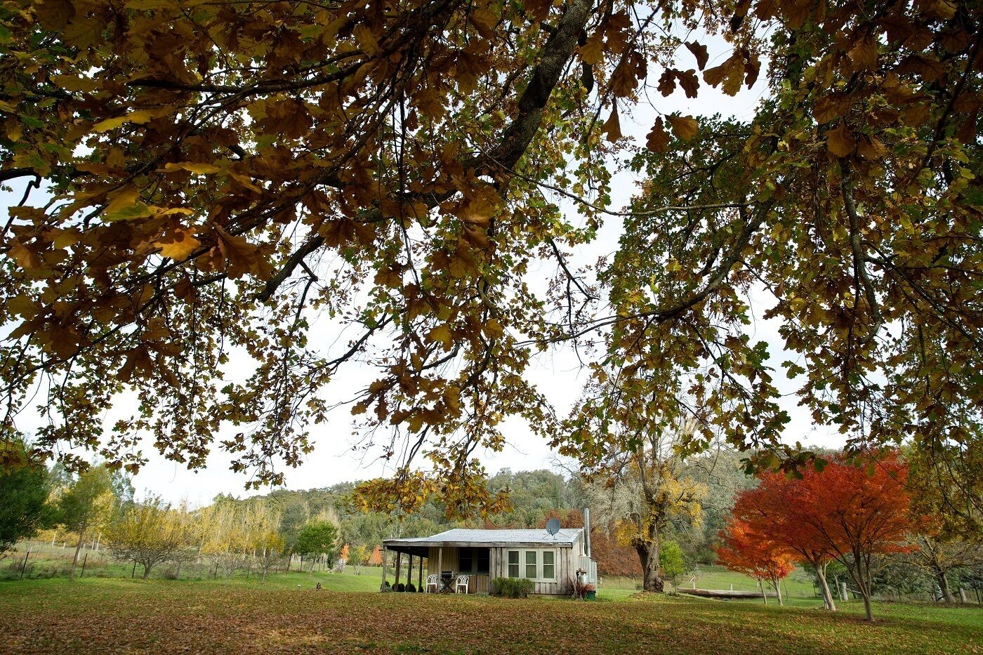 A rustic cabin with a porch, surrounded by a forested area with autumn foliage.