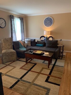 Smart TV, fireplace, books