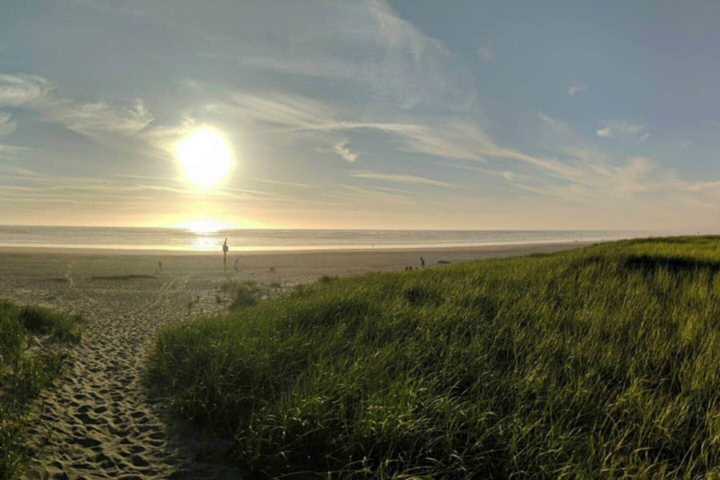 Aurinkotuoleja, rantapyyhkeitä