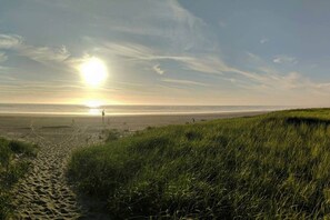 Camastros y toallas de playa 