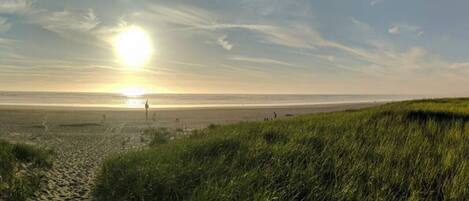 Playa en los alrededores