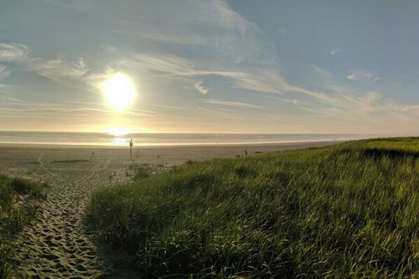 Playa en los alrededores