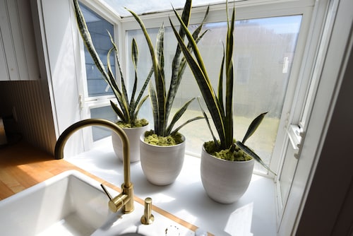 Uptown Port Townsend: Modern Amenities & Victorian Charm