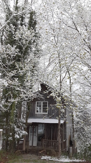 Exterior - RockinC Cabin. Private cabin in the tall trees. On a120 acre farm. (Owenton)