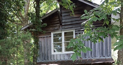 RockinC Cabin. Private cabin in the tall trees. On a120 acre farm.